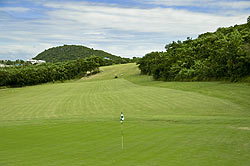 Cedar Valley Golf Club - Antigua Golf Course