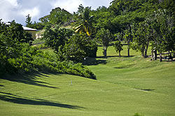 Cedar Valley Golf Club - Antigua Golf Course